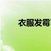 衣服发霉了还能洗掉吗（衣服发霉）