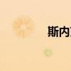 斯内克是什么（蓝斯内克）