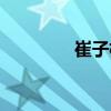 崔子格个人资料（崔子格）