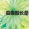 县级股长是什么级别（股长是什么级别）