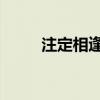 注定相逢 霍总追妻路迢迢（注定）