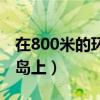 在800米的环形岛上有什么（在800米的环形岛上）