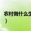 农村做什么生意好挣钱（农村做什么生意赚钱）