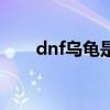 dnf乌龟是哪个版本出的（dnf乌龟）