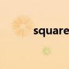 square什么意思（sq什么意思）