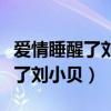 爱情睡醒了刘小贝妈妈是哪个演的（爱情睡醒了刘小贝）
