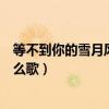 等不到你的雪月风花是什么歌曲（等不到你的雪月风花是什么歌）