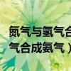 氮气与氢气合成氨气是可逆反应吗（氮气与氢气合成氨气）