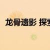 龙骨遗影 探索发现（cf挑战新图骨龙遗迹）
