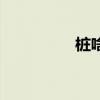 桩啥意思（什么是桩考）