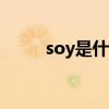 soy是什么意思（joy是什么意思）