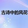 古诗中的风花雪月作文（古诗中的风花雪月）