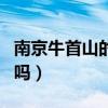 南京牛首山的舍利子是真的吗（舍利子是真的吗）