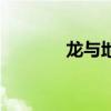 龙与地下城侠盗荣耀（龙与）