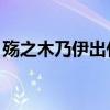 殇之木乃伊出什么装备（lol殇之木乃伊出装）