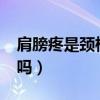 肩膀疼是颈椎引起的吗?（肩颈疼痛是颈椎病吗）