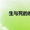 生与死的感悟500字（生与死的感悟）