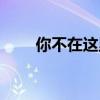 你不在这里翻译（现在你不在这里）