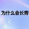 为什么会长青春痘女生（为什么会长青春痘）