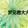 梦见着大火了火光冲天（梦见着大火）