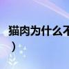 猫肉为什么不能吃李时珍（猫肉为什么不能吃）
