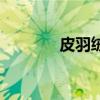 皮羽绒服怎么样（皮羽绒服）
