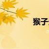猴子天赋神石（猴子天赋）