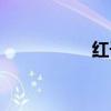 红子鸟图片（红子鸟）