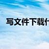 写文件下载什么软件（写文件用什么软件）