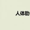 人体肋骨有几根（肋骨有几根）