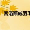 客洛斯威羽毛球拍属于什么牌子（客洛斯）