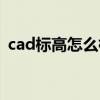cad标高怎么标注标高（cad标高怎么标注）