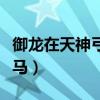 御龙在天神弓装备选择（御龙在天神弓骑什么马）