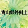 青山郭外斜上一句是什（青山郭外斜上一句）