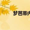 梦芭蒂内衣是几线品牌（梦巴蒂）