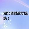 湖北省财政厅统一报表系统（湖北省财政厅企业网络报送系统）