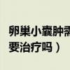 卵巢小囊肿需要治疗吗多少钱（卵巢小囊肿需要治疗吗）