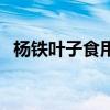 杨铁叶子食用方法（杨铁叶子能当菜吃吗）