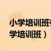 小学培训班有哪些科目 从哪些方面了解（小学培训班）