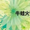 牛蛙火锅好评文案（牛蛙火锅）