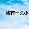 我有一头小毛驴歌曲（我有一头小毛驴）