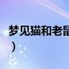 梦见猫和老鼠在房间跑来跑去（梦见猫和老鼠）