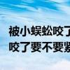 被小蜈蚣咬了要不要紧找不到伤口（被小蜈蚣咬了要不要紧）