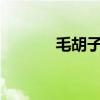 毛胡子剪了会怎样?（毛胡子）
