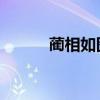 蔺相如图片 雕像（蔺相如图片）