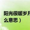 阳光很暖岁月静好是什么意思（岁月静好是什么意思）