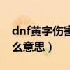 dnf黄字伤害是什么词条（dnf黄字伤害是什么意思）