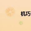 机巧卡组构筑（机巧卡组）