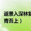 返景入深林复照青苔上全诗（返景入深林复照青苔上）