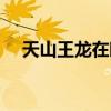 天山王龙在暗中帮助路子涛（天山王龙）
